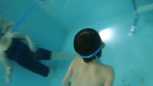 Детское плавание в Краснодаре | Акварята #04