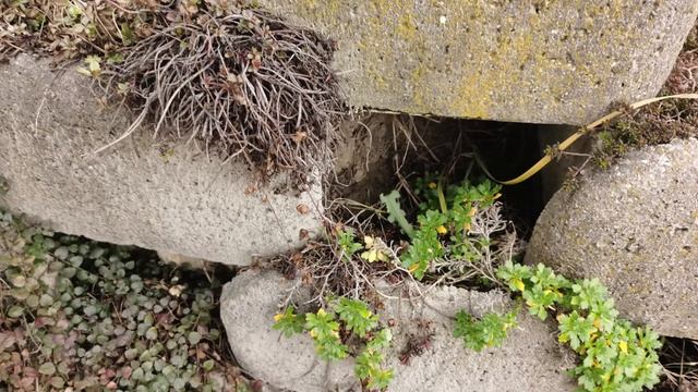 Huawei Mate 30 Pro Vs Huawei Mate 20 Pro - Camera  Test Comparison