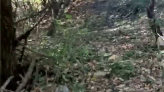 С Тураг 🍃 смотреть онлайн