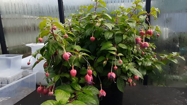 9 сентября 2023 г. смотреть онлайн