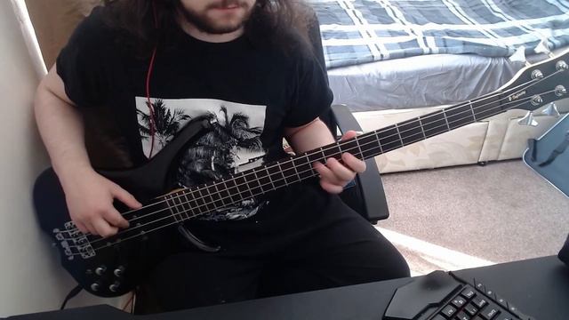 Blu DeTiger - Vintage (Flight Facilities Remix) | Bass Cover (Tabs In Description) смотреть онлайн