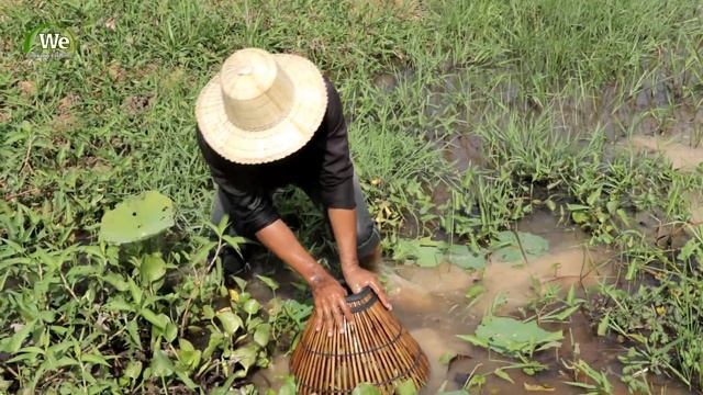 We Survival - Catching Fish With Primitive Tools смотреть онлайн
