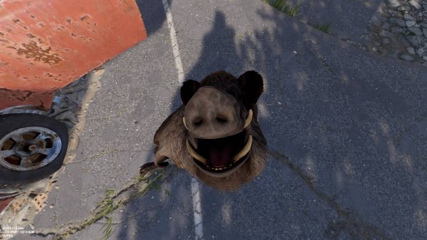 СТРИМ ПО Rust СТАРТ ЗАНИМАЮ КОСМИК В РАСТ/RUST #rust #Rust #RUST