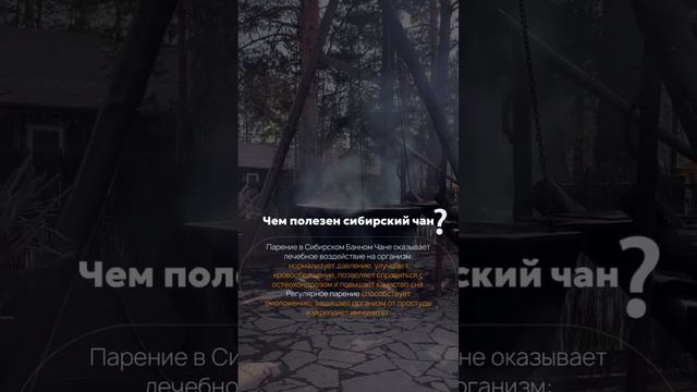 Чем полезен СИБИРСКИЙ БАННЫЙ ЧАН? 🙀 #ЗДОРОВЬЕ #ОТДЫХ смотреть онлайн
