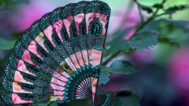 Веер #3 Ажурный, Винтаж, Ретро (11 шт) Переходы | Transition смотреть онлайн