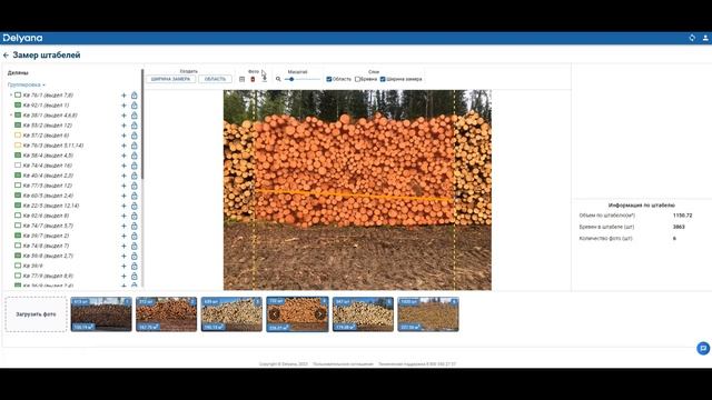 Delyana | Ручная сортировка фото в замере штабелей. смотреть онлайн