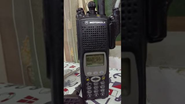 Motorola xts5000 #motorola #xts5000 qso net marts #hamradio смотреть онлайн