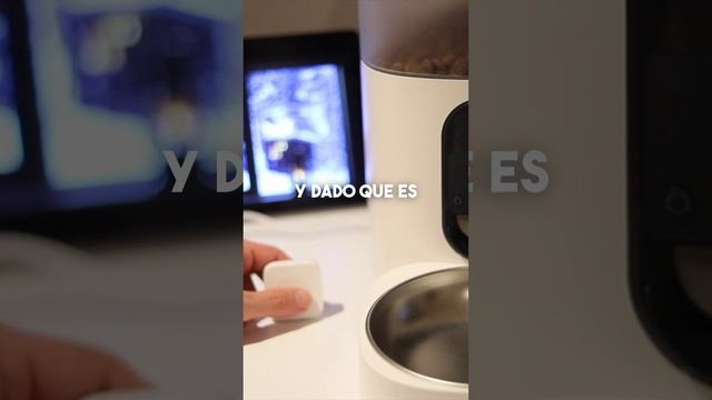 ¿Cómo Funciona el Comedero Inteligente de AQARA? (Compatible con Alexa) смотреть онлайн