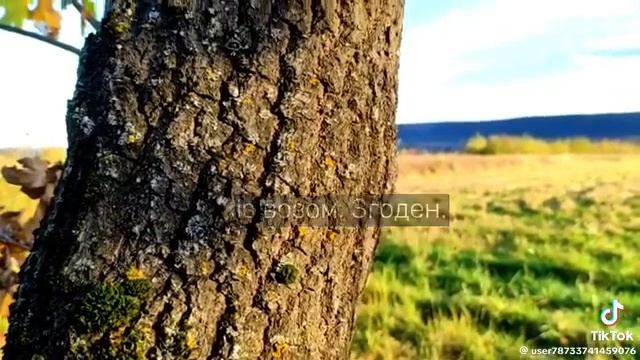 Мудра жінка смотреть онлайн