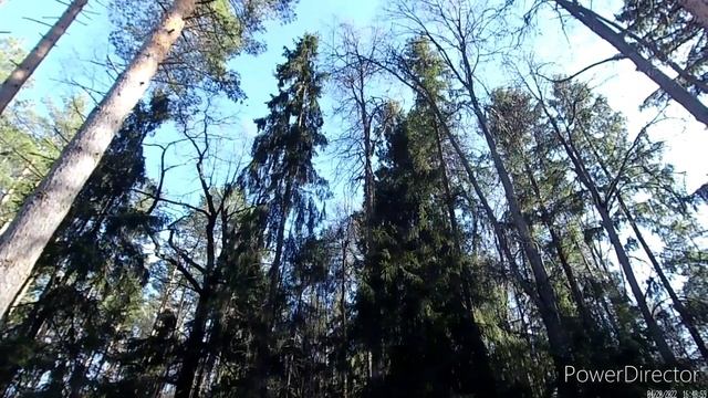 Пионерский лагерь имени Ю.А. Гагарина. Стихи из далёкого детства смотреть онлайн