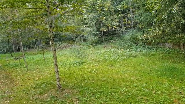 Спонсорство ... Сон ... и Татуировки ...