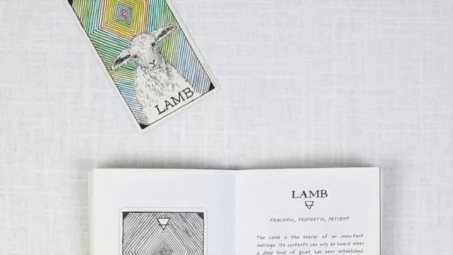 The Lamb - Wild Unknown Animal Spirit Oracle Card - Tarot смотреть онлайн