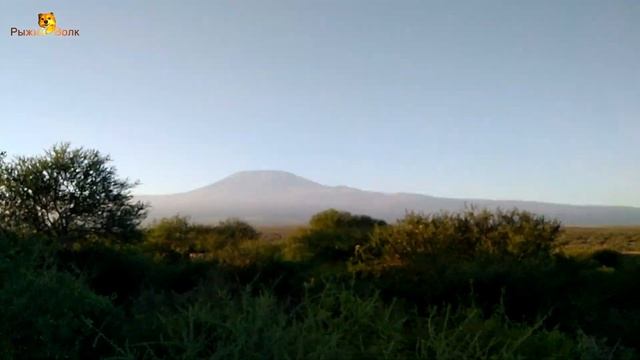 Satao Elerai Amboseli. Великолепное местечко в Кении на границе с Танзанией. смотреть онлайн