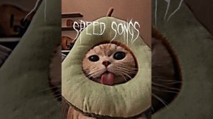 На часах нули (Speed songs)