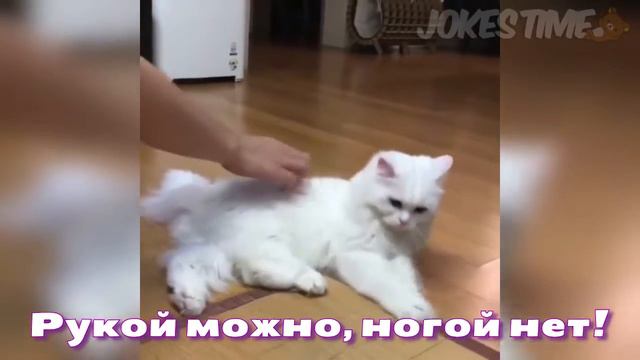 рукой можно, ногой нет смотреть онлайн