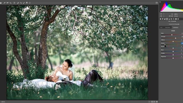 Matt Green Effect in Photoshop || Camera Raw Filter || Photoshop CC Tutorial смотреть онлайн