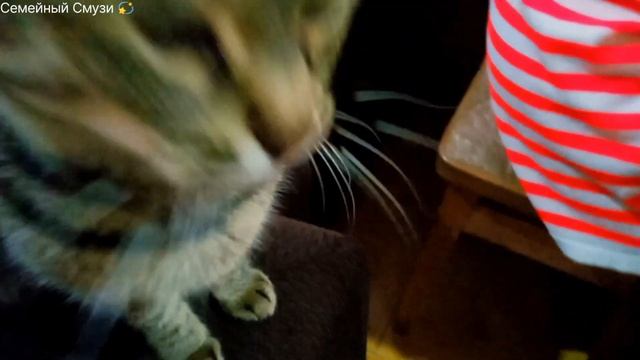 Мой вкусный первый рулет. Схватило спину