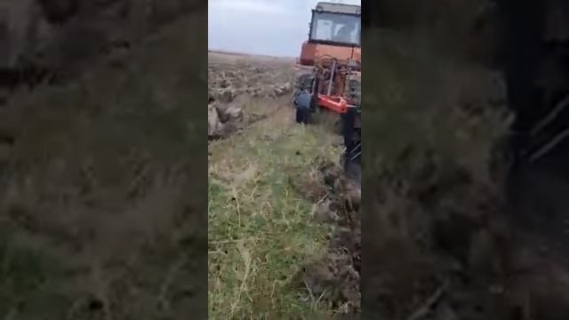 Плантажный плуг готовит почву под посадки виноградников. ППН-50 производство Леспромресурс г.Киров смотреть онлайн