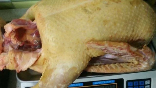 Вес тушки и возраст. Индоутки немецкой тяжёлой линии в нашем хозяйстве. смотреть онлайн