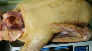 Вес тушки и возраст. Индоутки немецкой тяжёлой линии в нашем хозяйстве.