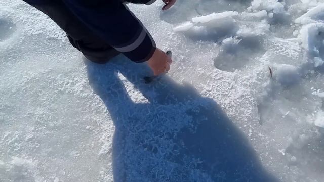 #1. Ловля Форели. Зимняя Рыбалка в Алматы. Озеро 7 Нагульный. Блесна из Aliexpress смотреть онлайн