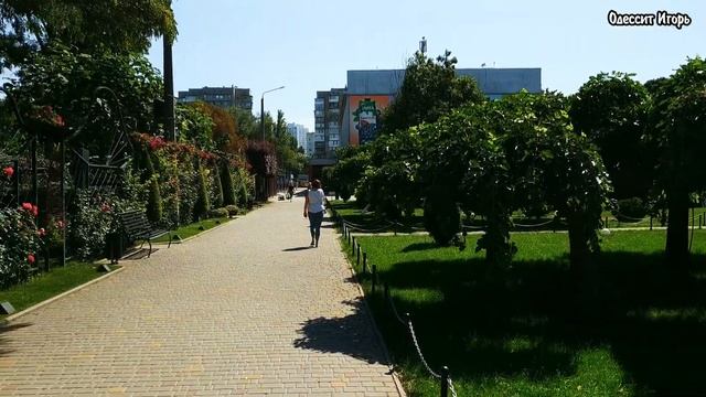 ОДЕССА. Парк Горького. Сегодня 25 августа 2022г. #одесса #odessa #парк смотреть онлайн