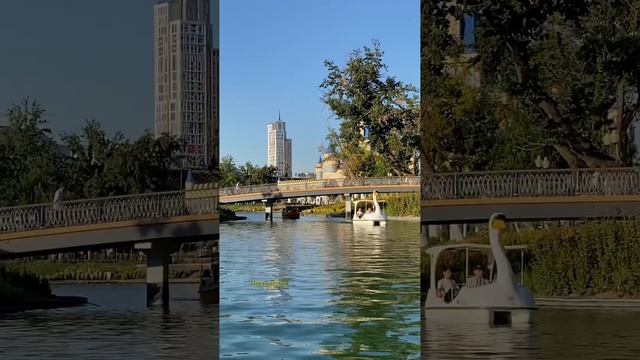 Где покататься на лебеде в Ташкенте?