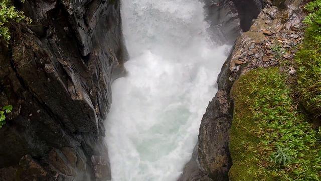 Relaxing Music, Stress Relieving Music, Meditation Music, Birds Singing Waterfall Sound