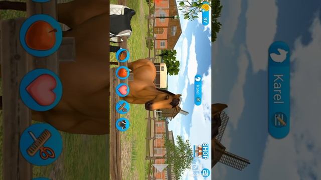 Horse world show jumping? gamesoptelefoon #15 смотреть онлайн