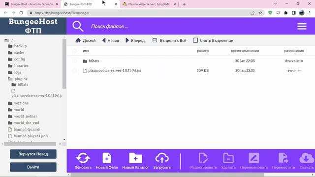 Установка PlasmoVoice на хостинг BungeeHost