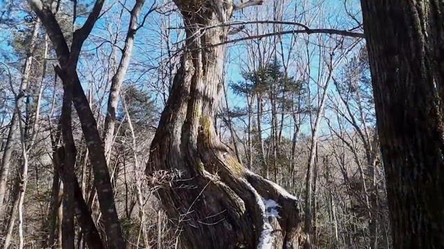 Смольные водопады, осень. Анисимовка, Шкотовский район. Путешествия по Приморскому краю. смотреть онлайн