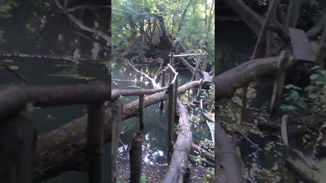 Мостик через речку Убля в селе Терехово смотреть онлайн