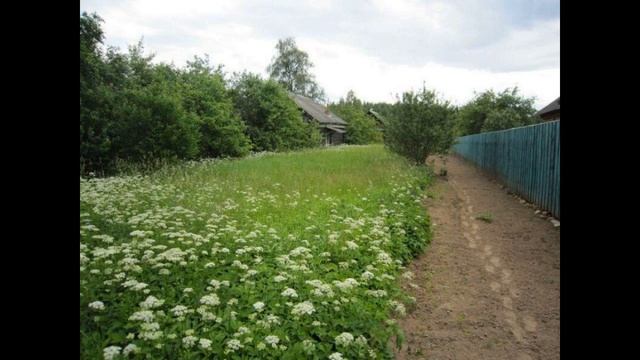 Продажа участка, Кузьминское, Конаковский район, Ул. Знаменская смотреть онлайн