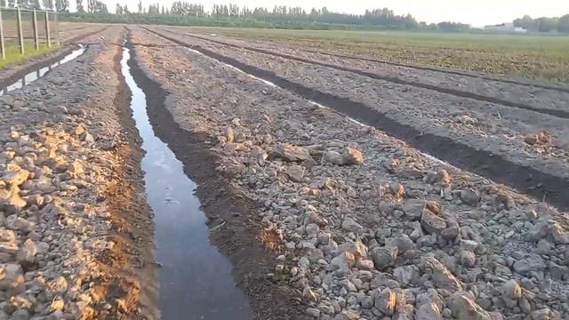 Тарвуз экиш сирлари 1-дарс. 2023-йил 5-ой 6-май. смотреть онлайн