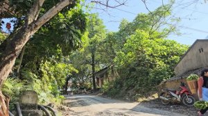 The Secret Life of a Single Mom: Harvesting Bananas, Raising a Son.