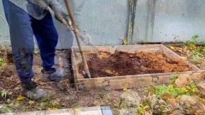 Посадка Голубики сорта Патриот и Бригитта Блю  осенью.Наш опыт. Дача в Подмосковье.домашнее видео