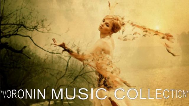 Fox Lima - The Social Song 2014 (VNRG REMIX) смотреть онлайн