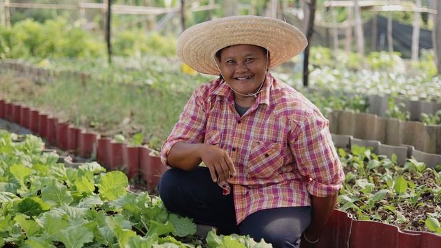 The Future of El Paso in the Decline of Globalization смотреть онлайн