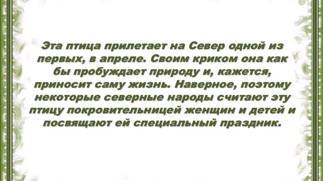 ВИКТОРИНА: Малочисленные народы России смотреть онлайн