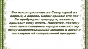 ВИКТОРИНА: Малочисленные народы России
