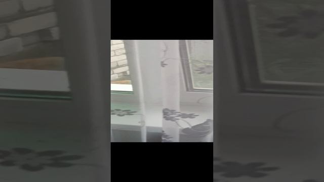 Свидание не состоялось