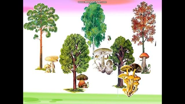 Игра по теме Грибы смотреть онлайн