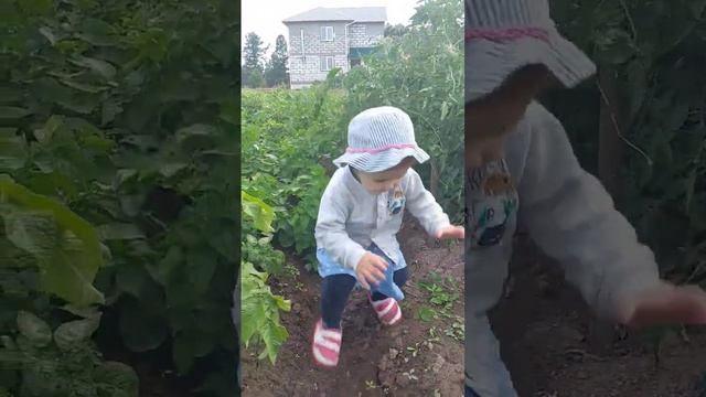 Маленькая дачница #жизньвдеревне #урожайнадаче #дача #нашамаша #нашадача смотреть онлайн