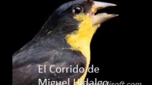 Corrido de Miguel Hidalgo смотреть онлайн