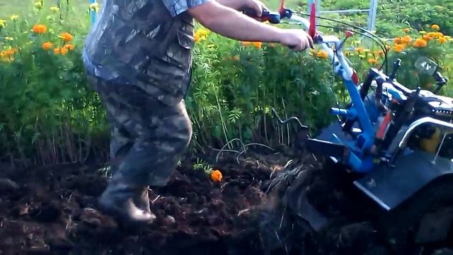 мотоблок нева работа с плугом смотреть онлайн