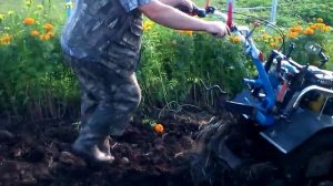 мотоблок нева работа с плугом