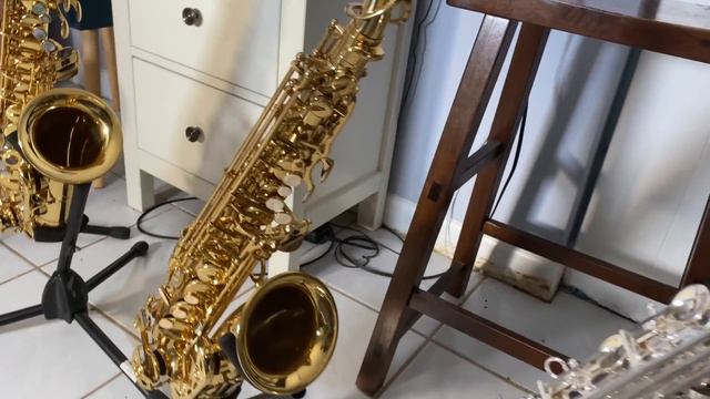 I Might've Found the CHAMPION of Beginner Saxophones!? смотреть онлайн