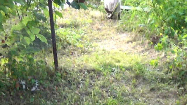 Вода прибывает 2 смотреть онлайн