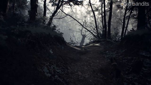 Parent's Guide - Blair Witch смотреть онлайн