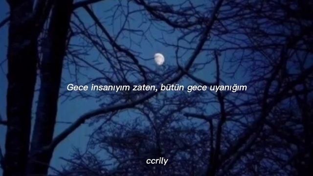 [Türkçe altyazılı] SKZ - PLAYER "Up All Night" смотреть онлайн